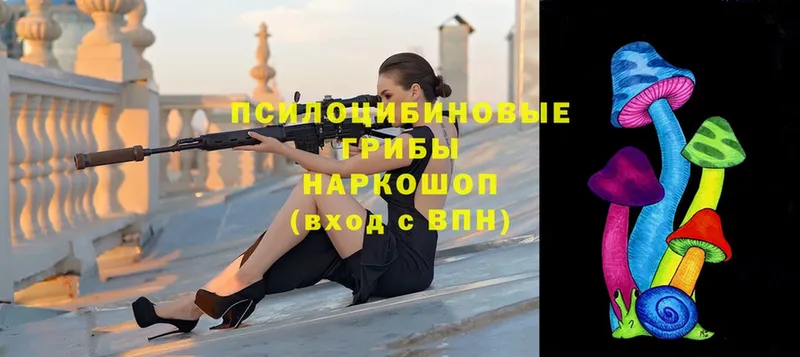 OMG ТОР  Верхний Уфалей  Псилоцибиновые грибы мицелий 